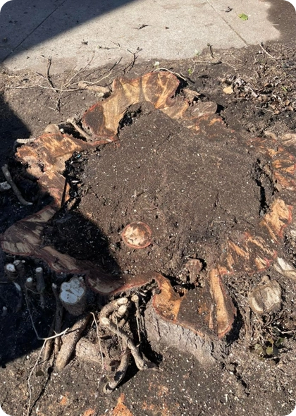 nlock Your Property's Full Potential