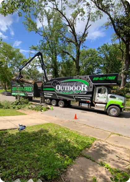 The Essential Benefits of Professional Tree Removal