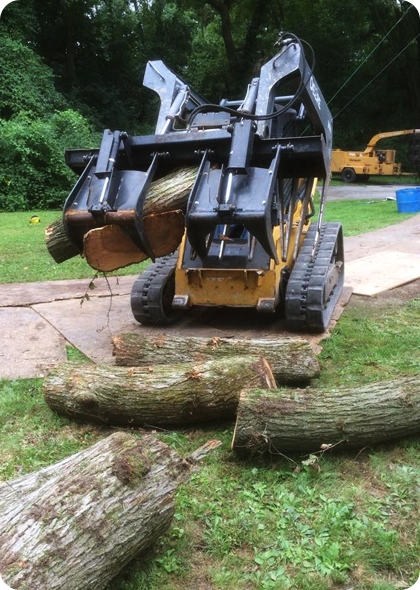 Our Comprehensive and Safety-First Approach to Professional and Efficient Tree Removal Services