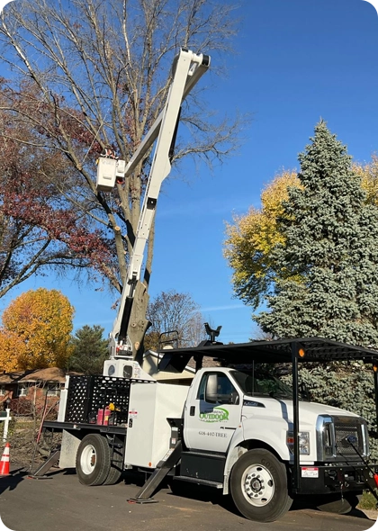 Our Meticulous Approach to Tree Trimming That Puts Health, Safety, and Aesthetics First