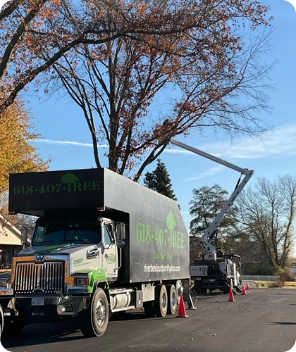 Expert Tree Trimming and Pruning