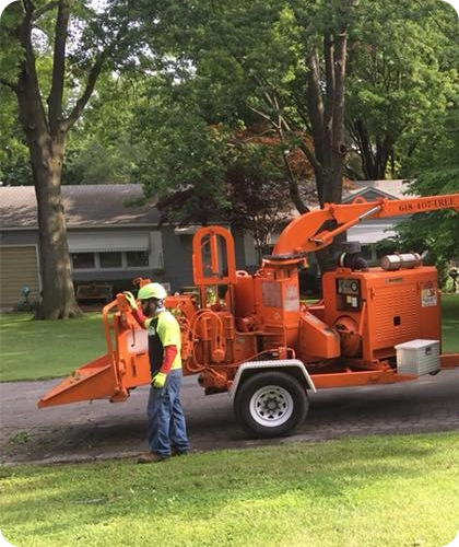 Property Cleanup with Reliable Greenway Waste Hauling