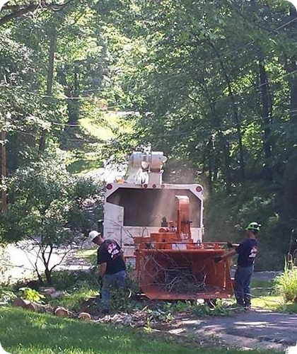 Efficient Greenway Waste Hauling for a Cleaner Glen, IL Property