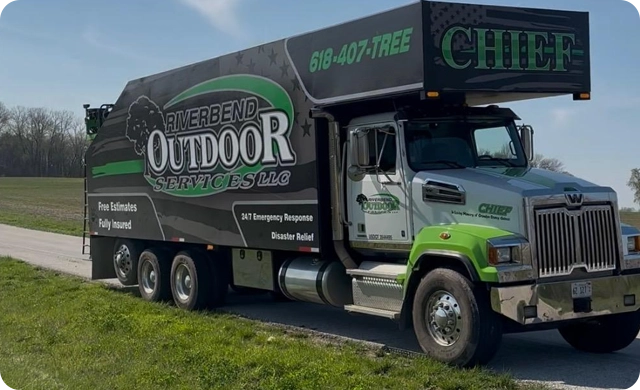 Professional Tree Care and Reliable Outdoor Solutions