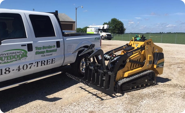 Expert Tree Care and Landscaping Solutions