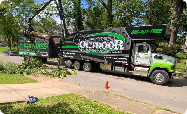 Clear the Clutter, Go Greener: Hassle-Free Waste Hauling for a Healthier Yard